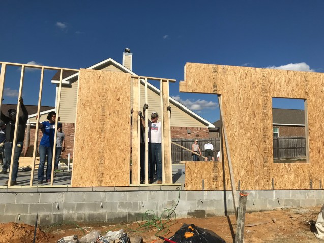 9v9xVWPcQVO9RLN71uVo7g